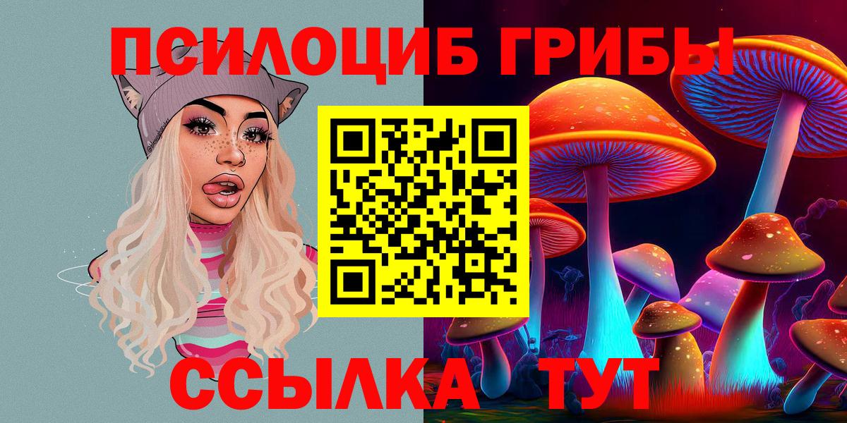 Псилоцибиновые грибы Cubensis  Вход с VPN  Нижний Новгород 