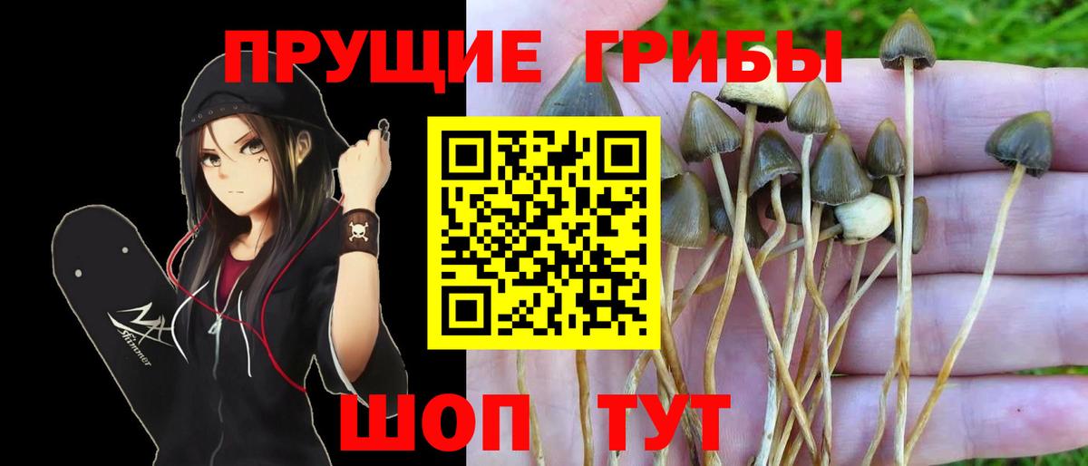 Галлюциногенные грибы мухоморы Нижний Новгород